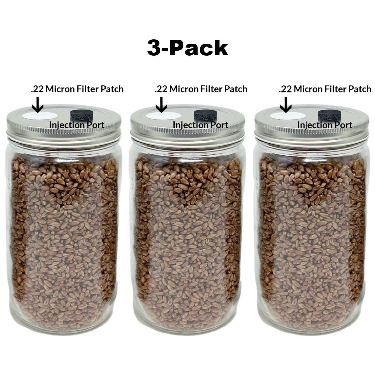 3-Pack Organic Rye Grain Jars (32oz)