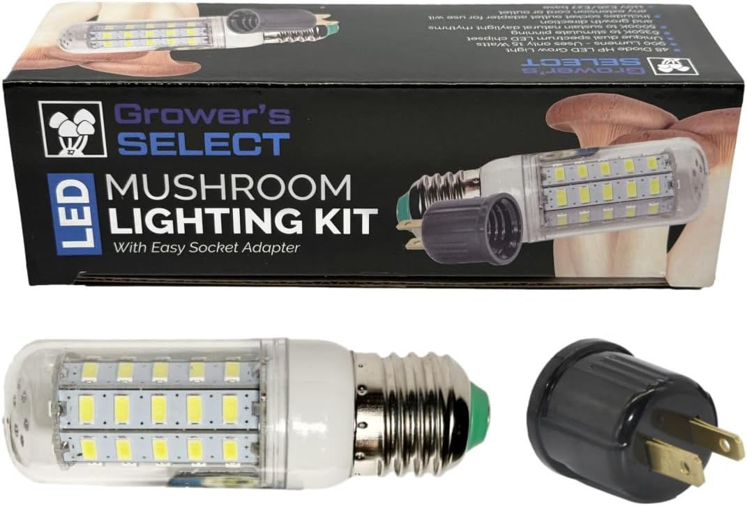 Mushroom Lighting Kit