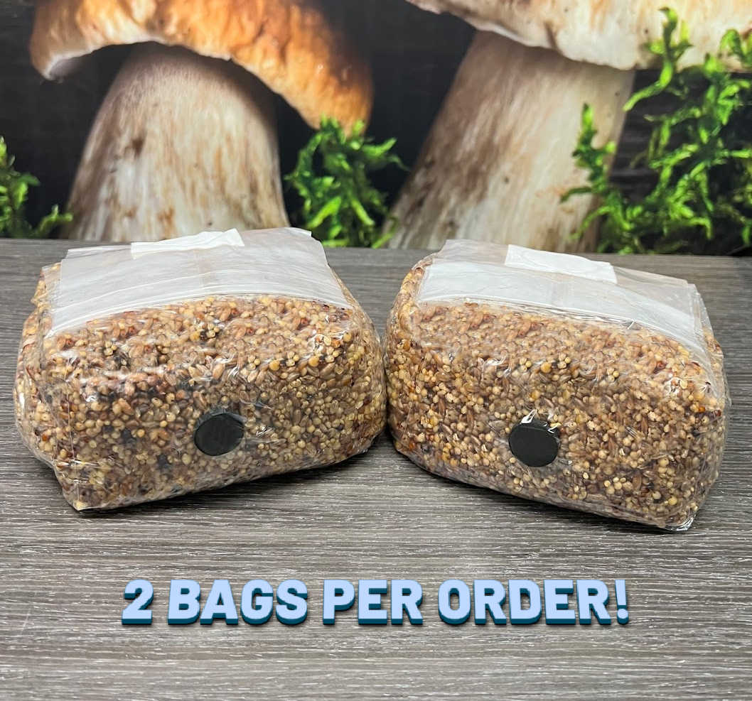 3 lb Sterilized Millet Grain Mushroom Spawn Bags in Unicorn Bags   CULTUREShrooms