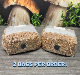 Bags Clapms - Mushrooms Solutions