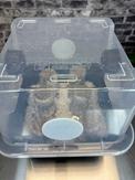 Simple Mushroom Grow Kit PLUS - s01