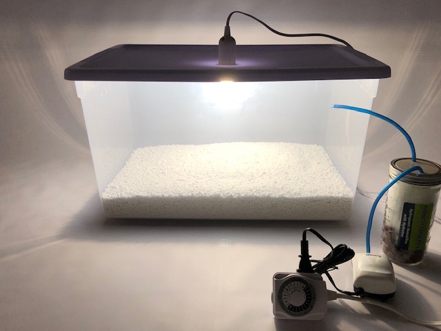 led lights for mushroom growing